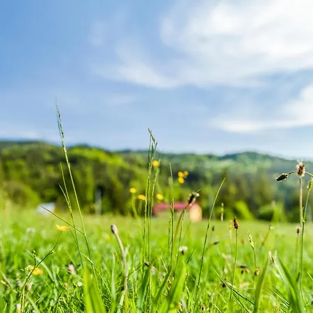 בית חווה U Marioli *