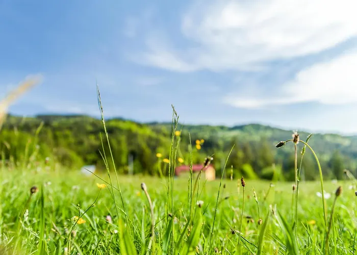 Vakantieboerderij U Marioli *