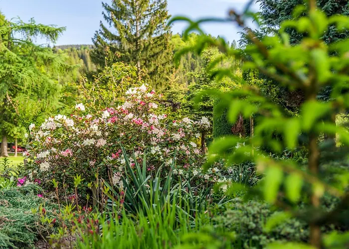 Vakantieboerderij U Marioli *